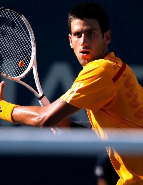 仅展示了马 仅展示了马