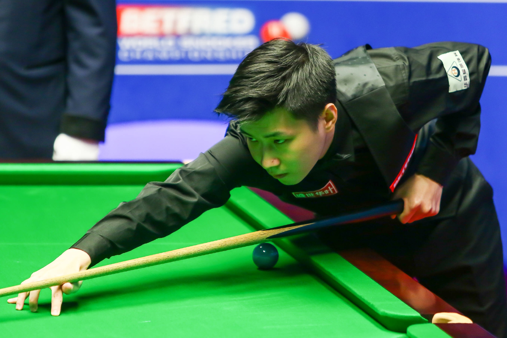 了他的回应 了他的回应